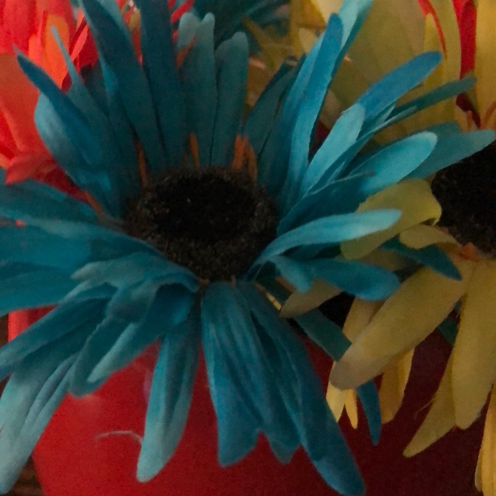 Meet your Posher, Jayma